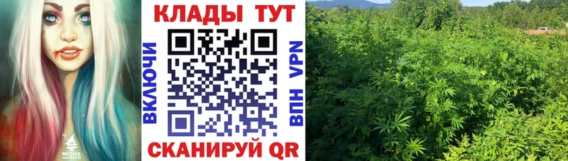 Наркотические вещества Учалы Cocaine Мефедрон ГАШ АМФЕТАМИН Лсд 25 Alpha PVP МАРИХУАНА Псилоцибиновые грибы