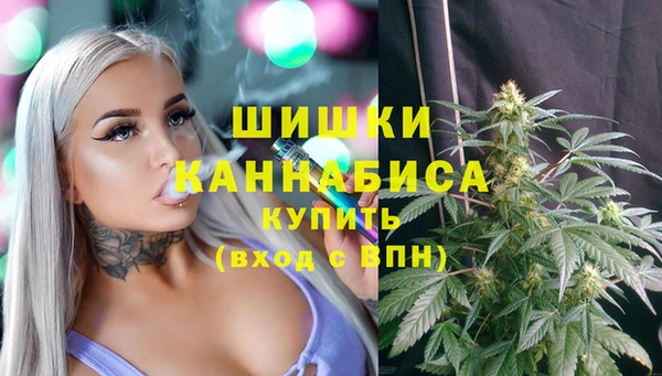 прущие грибы Строитель