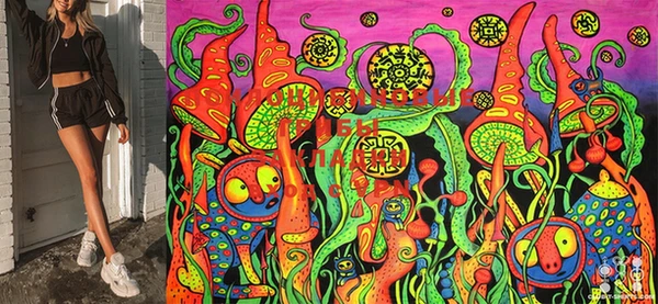 MDMA Красноперекопск