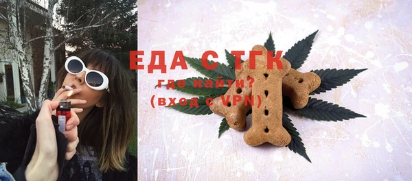индика Няндома
