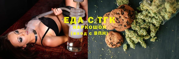 индика Няндома