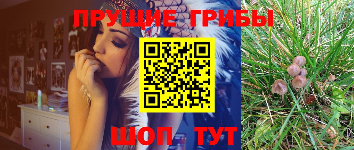 Галлюциногенные грибы Cubensis  Вход с VPN  Учалы 