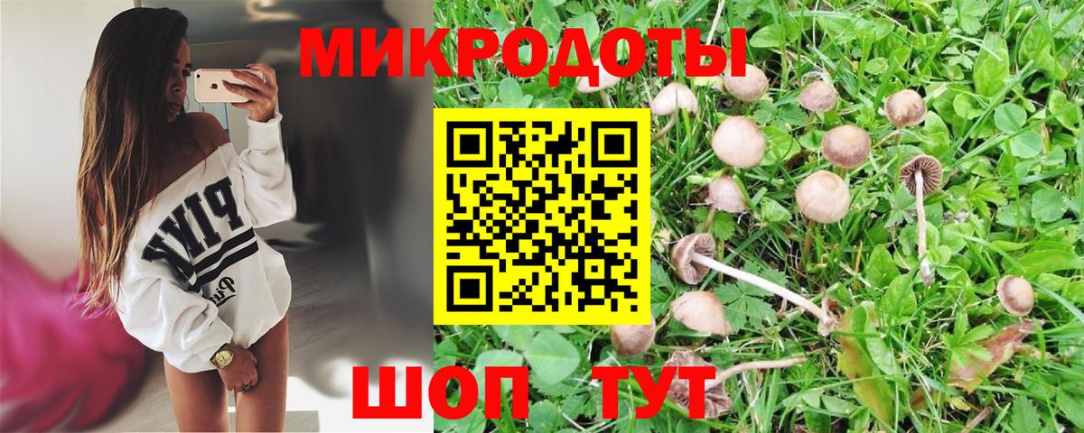 Псилоцибиновые грибы Psilocybe  Учалы 