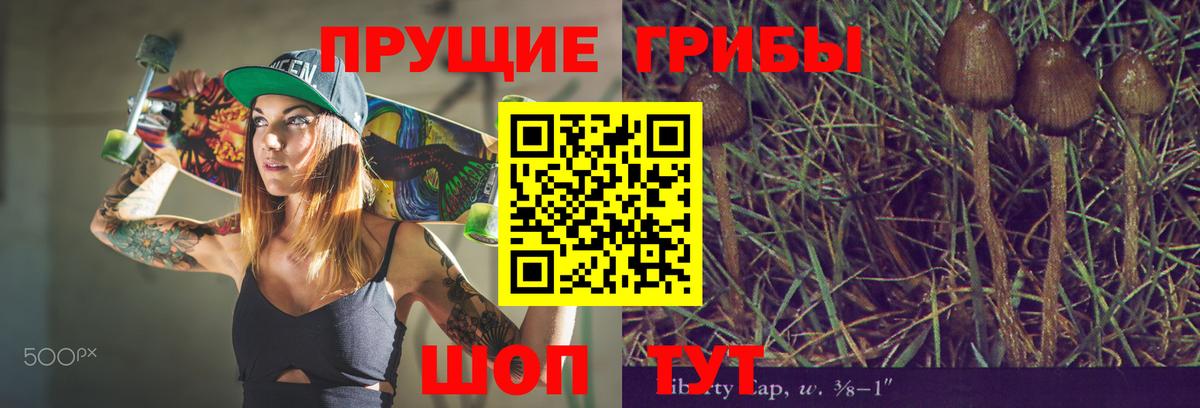 Галлюциногенные грибы GOLDEN TEACHER Учалы